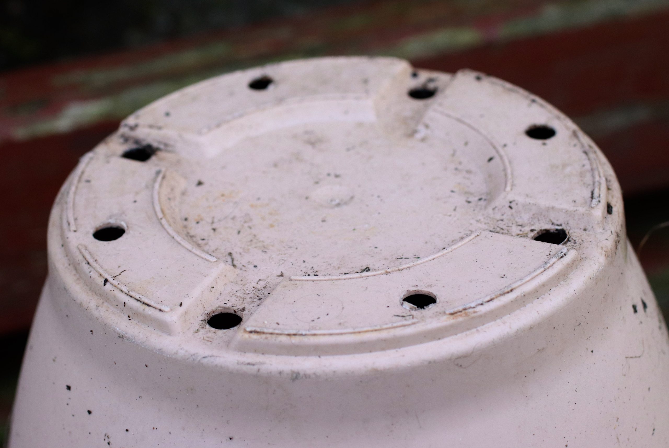 Drainage holes in pot