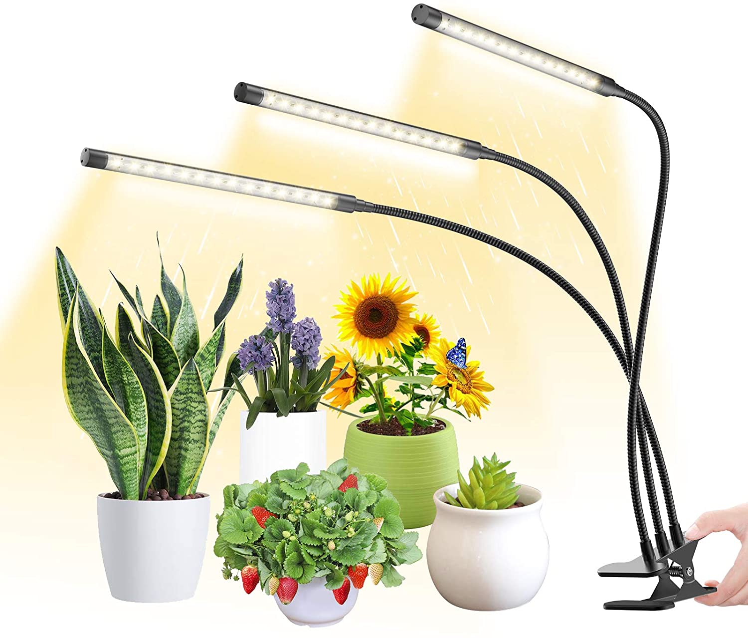 HitLights Full Spectrum LED Grow Lights for Indoor Gardening