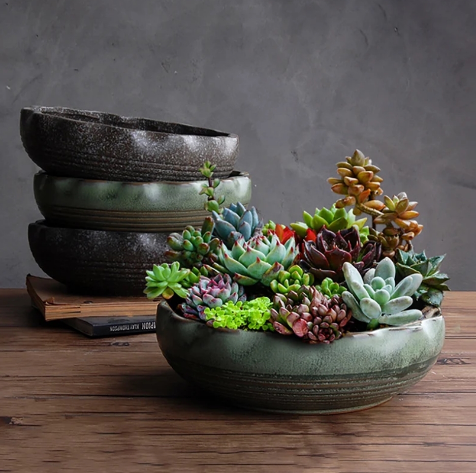 Large Succulent Planter