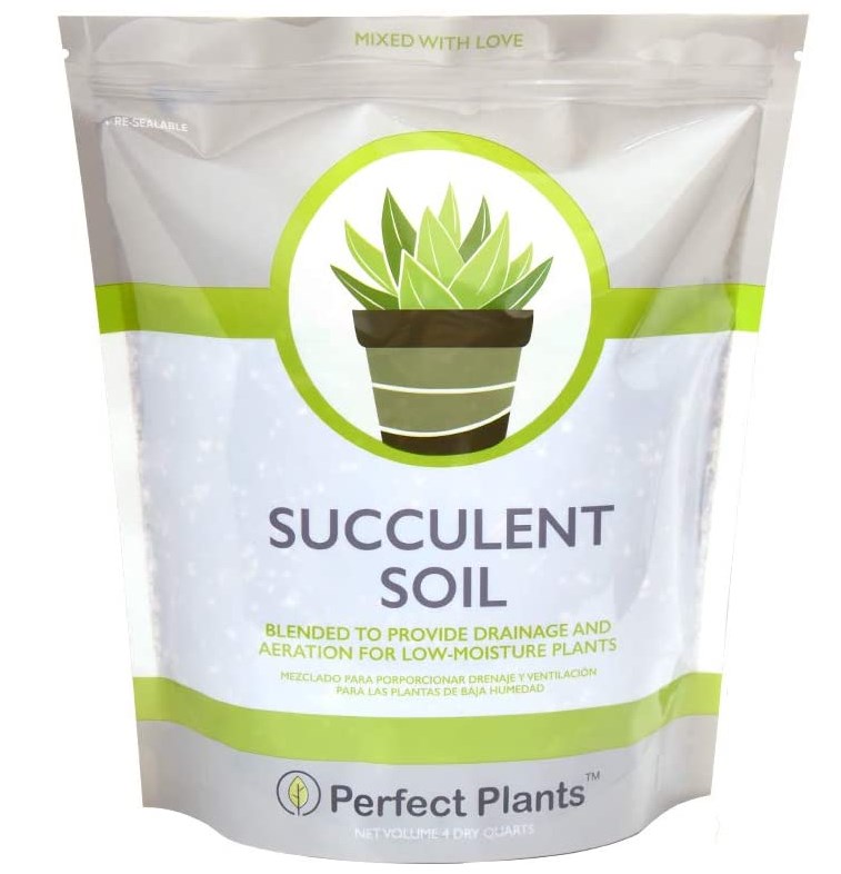 Succulent Soil