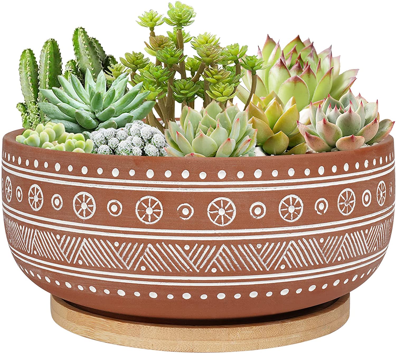 Thirtypot 8 Inch Terracotta Succulent Planter Pot with Drainage Hole and Bamboo Tray